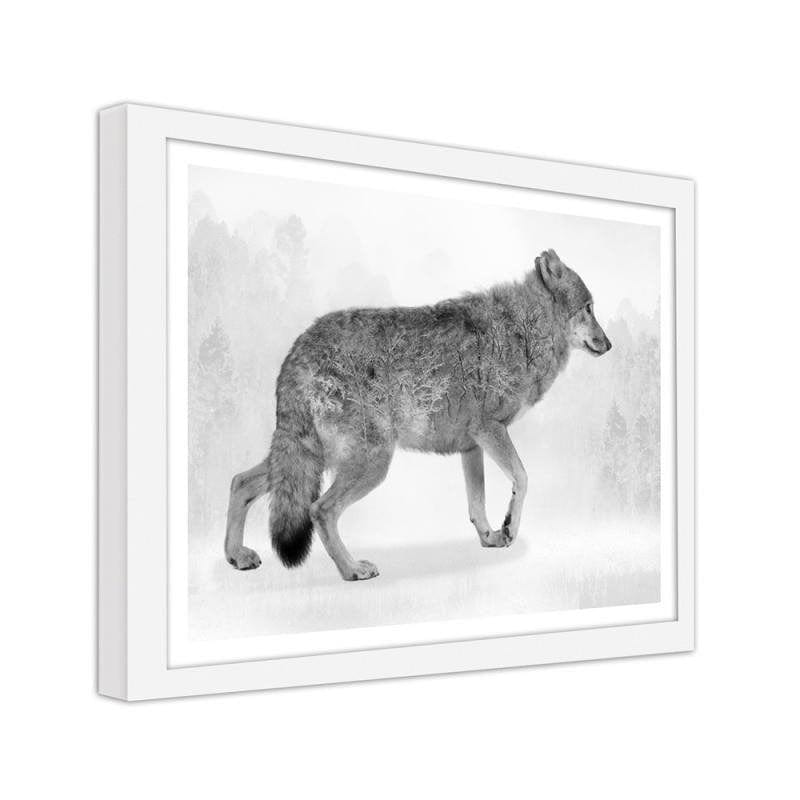 Glezna baltā rāmī - Grey wolf 2  Home Trends DECO