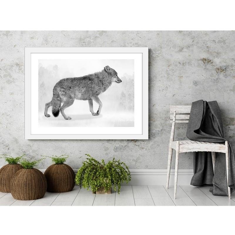 Glezna baltā rāmī - Grey wolf 2  Home Trends DECO