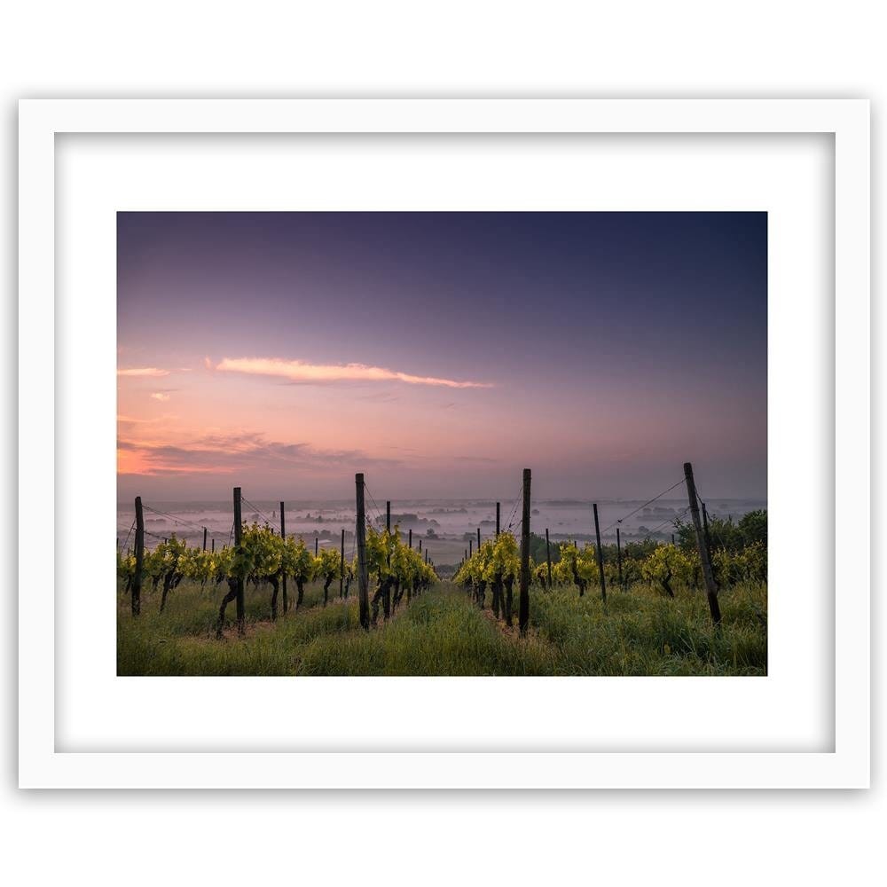 Glezna baltā rāmī - Growing Grapes  Home Trends DECO