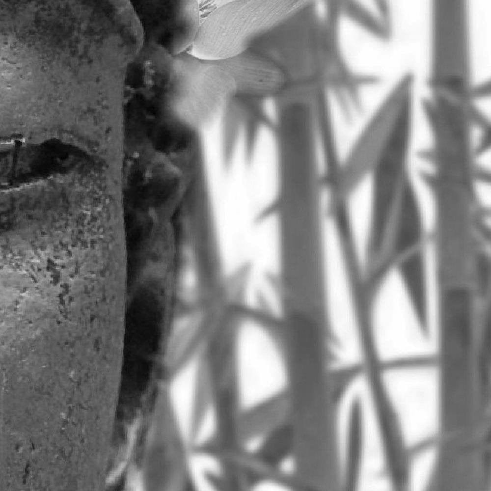 Glezna baltā rāmī - Half Face Of Buddha  Home Trends DECO