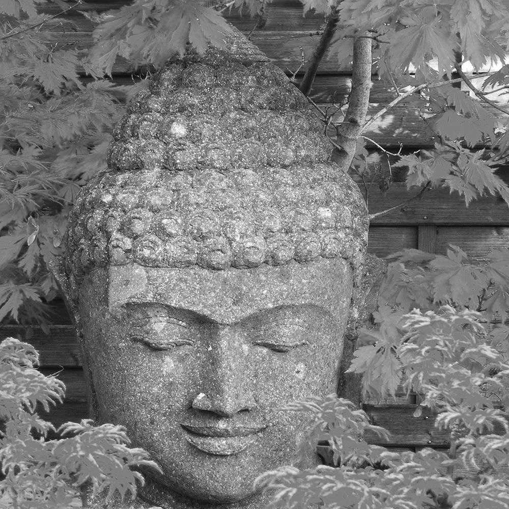 Glezna baltā rāmī - Head Of Buddha Among The Leaves  Home Trends DECO