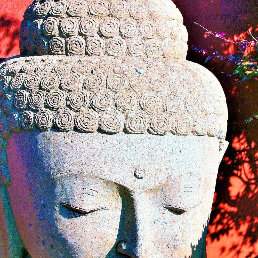Glezna baltā rāmī - Head Of Buddha Among The Plants  Home Trends DECO