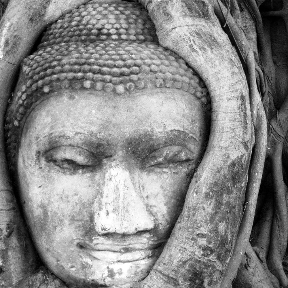 Glezna baltā rāmī - Head Of Buddha In Tree  Home Trends DECO