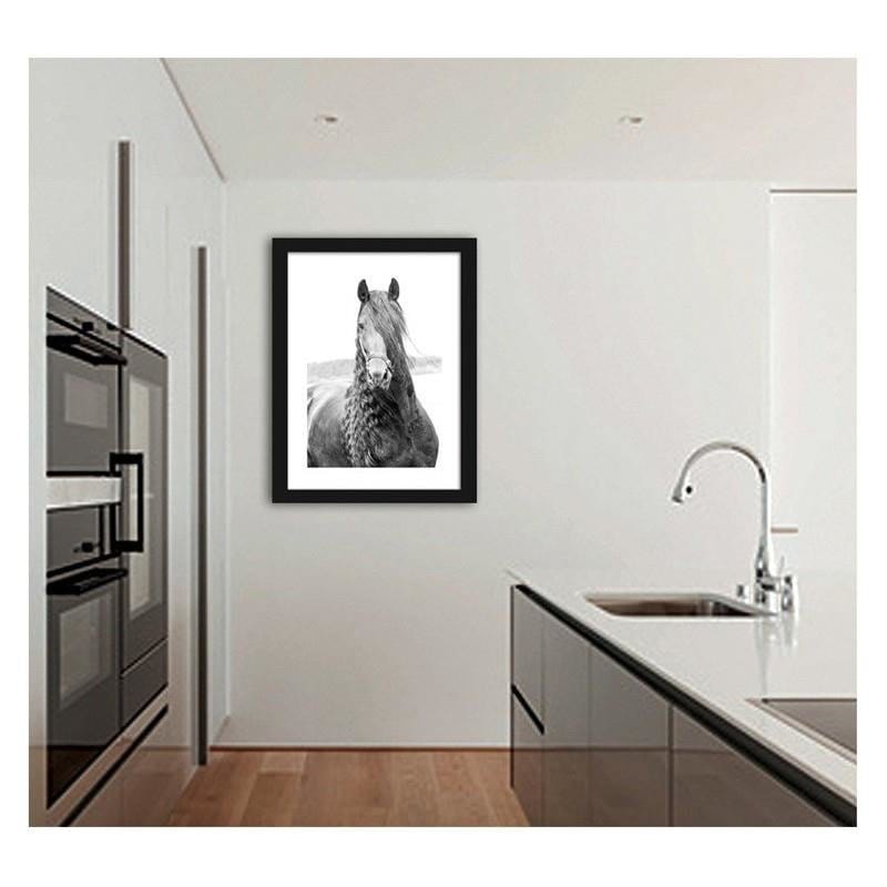 Glezna baltā rāmī - Horse 3  Home Trends DECO