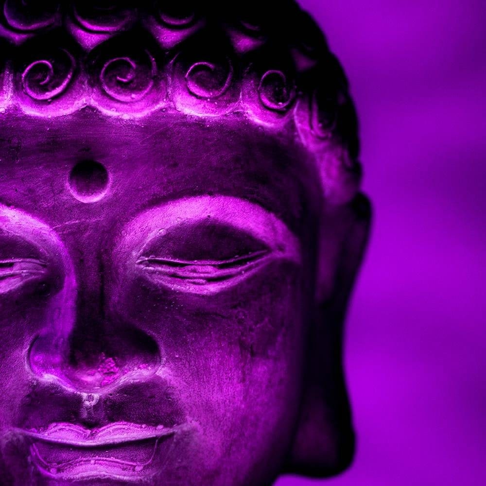 Glezna baltā rāmī - Illuminated Buddha Head  Home Trends DECO