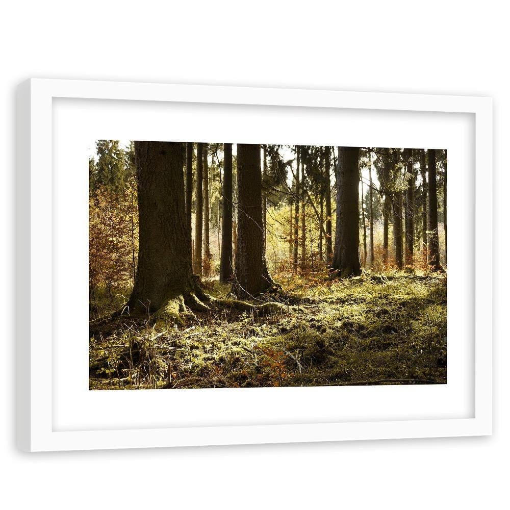 Glezna baltā rāmī - In The Forest  Home Trends DECO