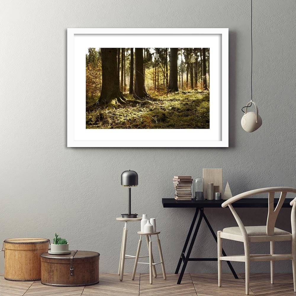 Glezna baltā rāmī - In The Forest  Home Trends DECO