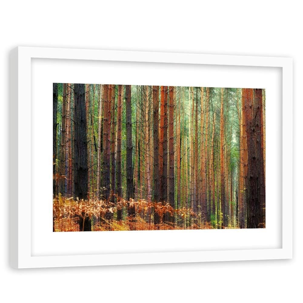 Glezna baltā rāmī - In The Middle Of A Forest  Home Trends DECO