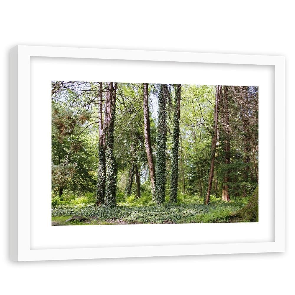 Glezna baltā rāmī - Ivy On The Trees  Home Trends DECO
