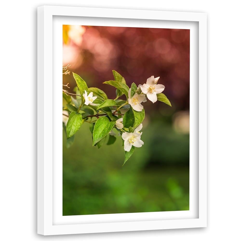 Glezna baltā rāmī - Jasmine Flowers  Home Trends DECO