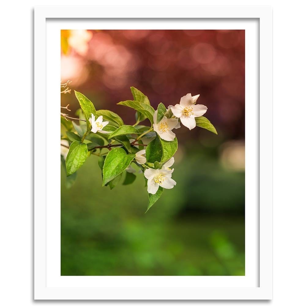 Glezna baltā rāmī - Jasmine Flowers  Home Trends DECO