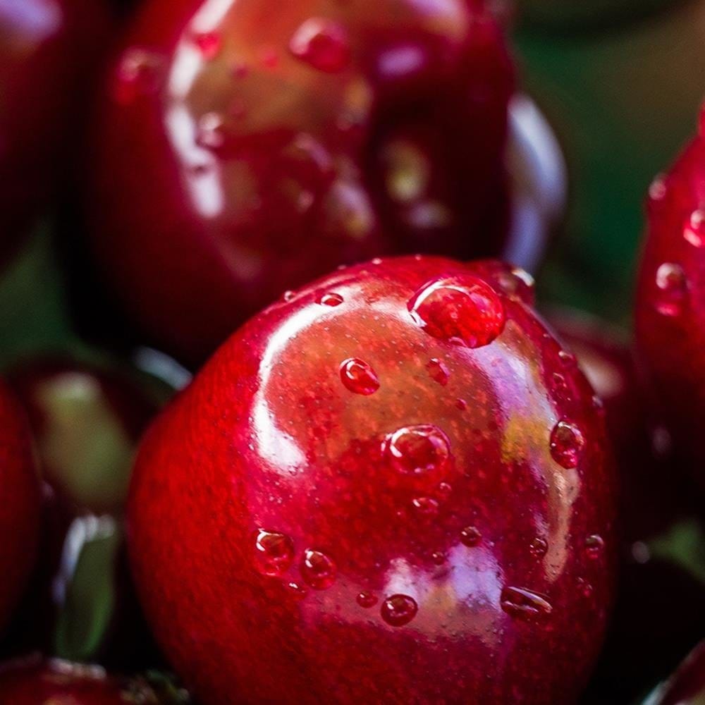 Glezna baltā rāmī - Juicy Cherries  Home Trends DECO