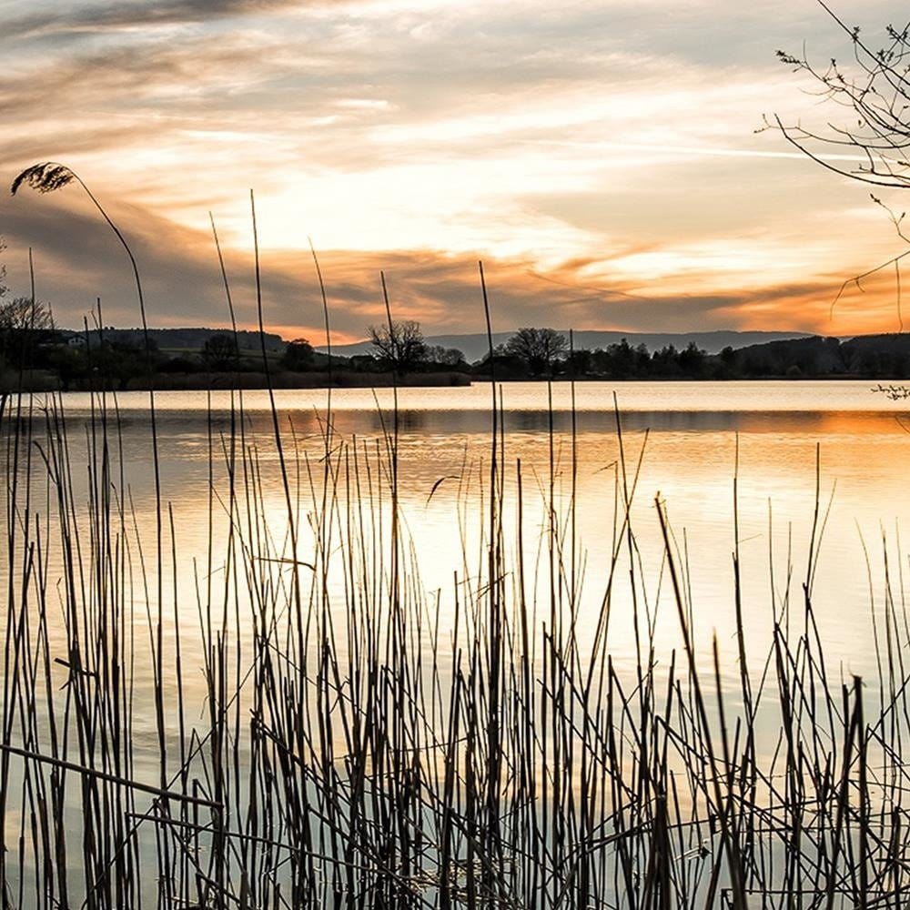 Glezna baltā rāmī - Lake At Dusk  Home Trends DECO