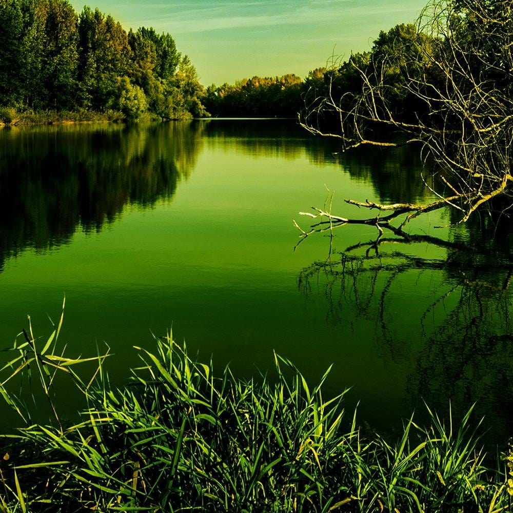 Glezna baltā rāmī - Lake In Green  Home Trends DECO