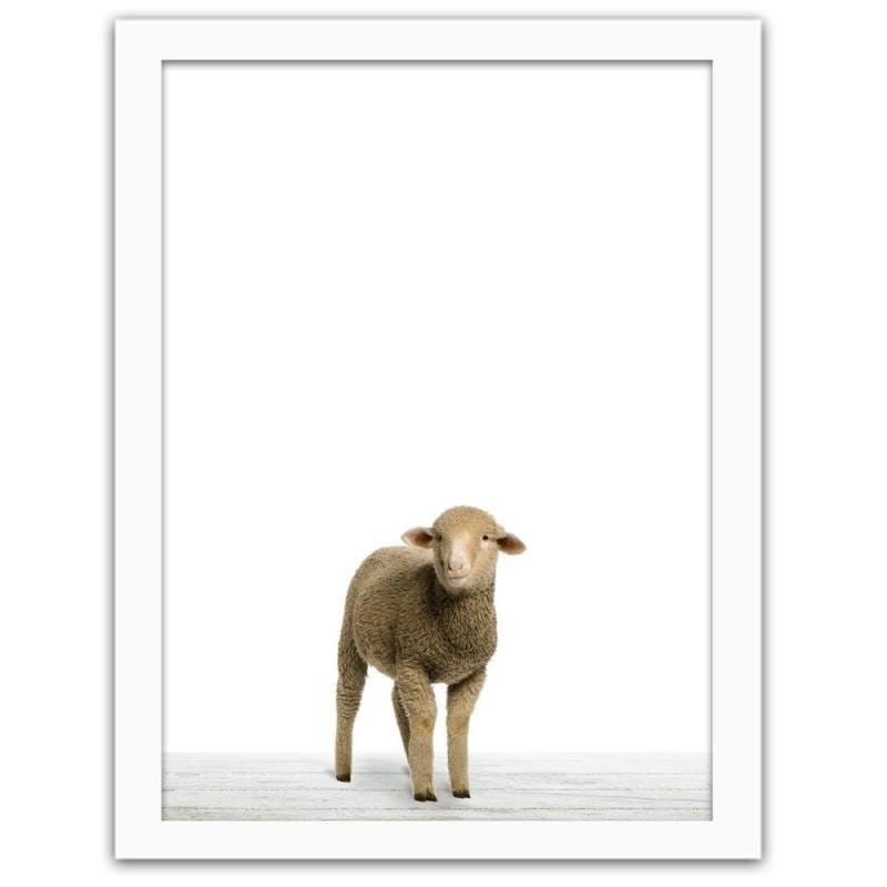 Glezna baltā rāmī - Lamb  Home Trends DECO