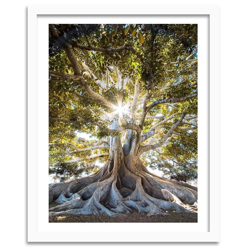 Glezna baltā rāmī - Large Exotic Tree  Home Trends DECO