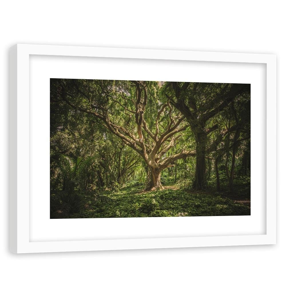 Glezna baltā rāmī - Large Tree In The Middle Of The Forest  Home Trends DECO