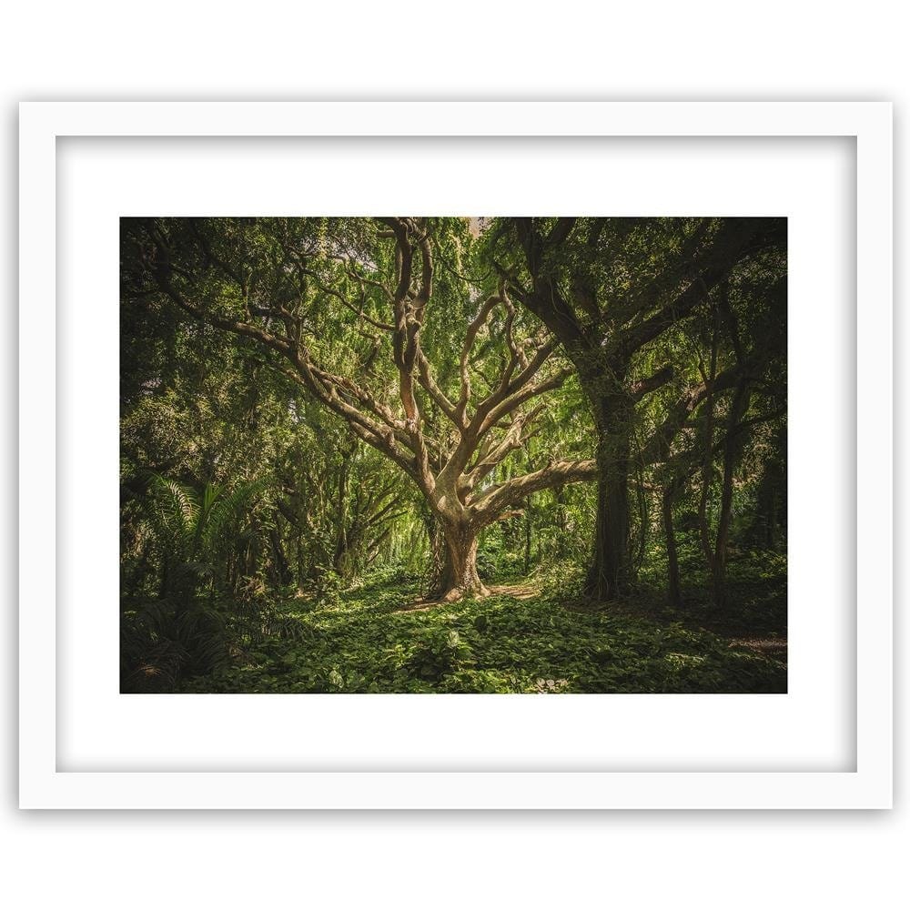 Glezna baltā rāmī - Large Tree In The Middle Of The Forest  Home Trends DECO