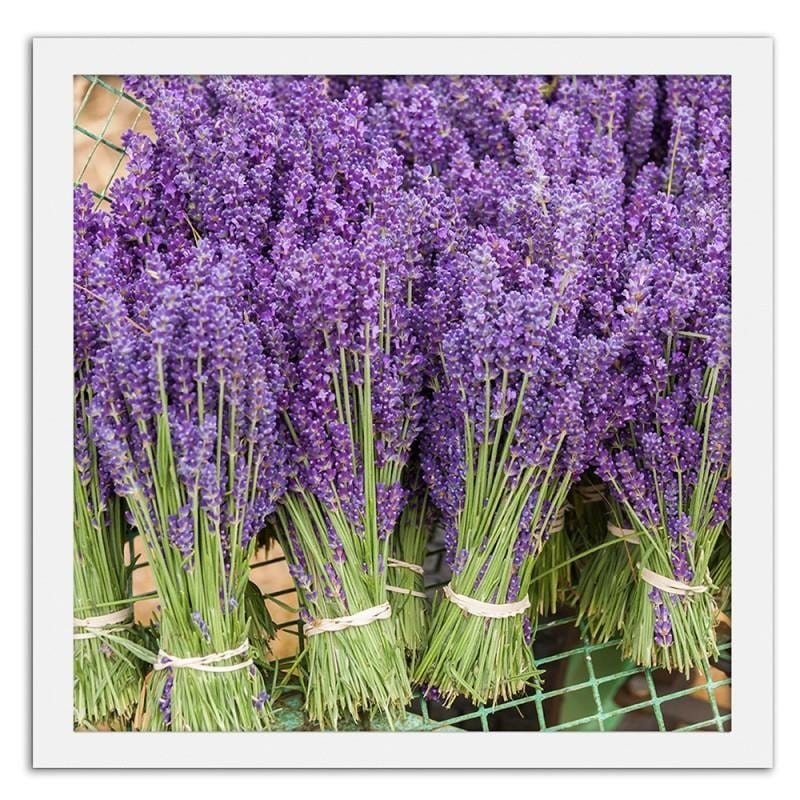 Glezna baltā rāmī - Lavender bouquets  Home Trends DECO