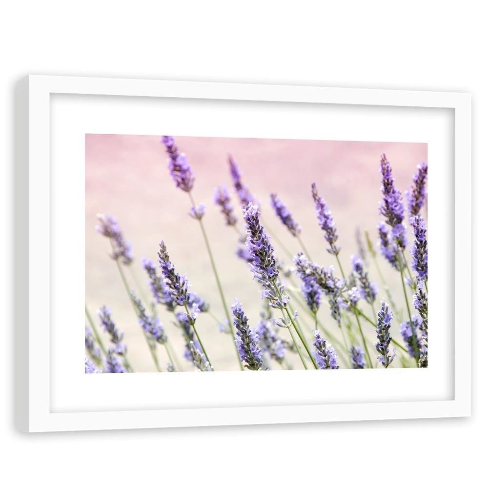 Glezna baltā rāmī - Lavender Flowers  Home Trends DECO