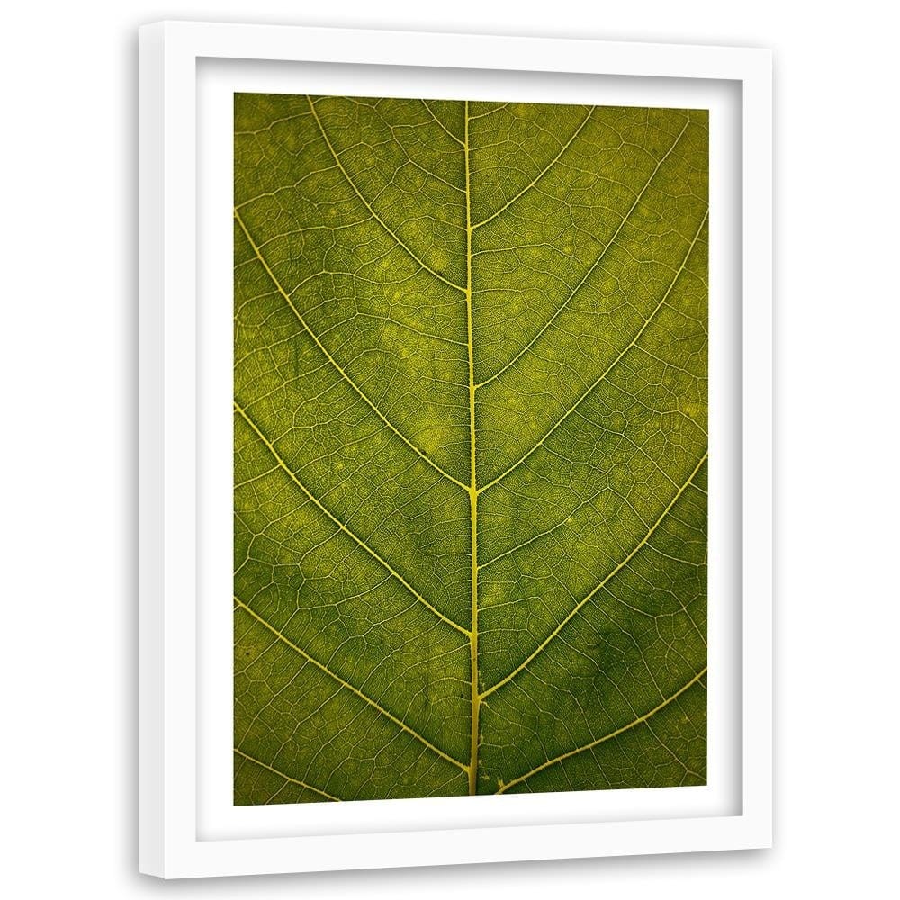 Glezna baltā rāmī - Leaf Close Up  Home Trends DECO