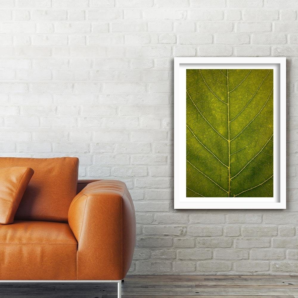 Glezna baltā rāmī - Leaf Close Up  Home Trends DECO