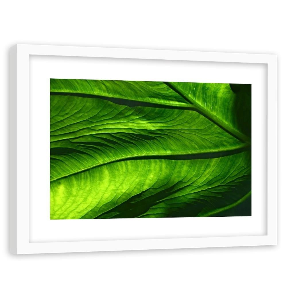 Glezna baltā rāmī - Leaf Structure  Home Trends DECO