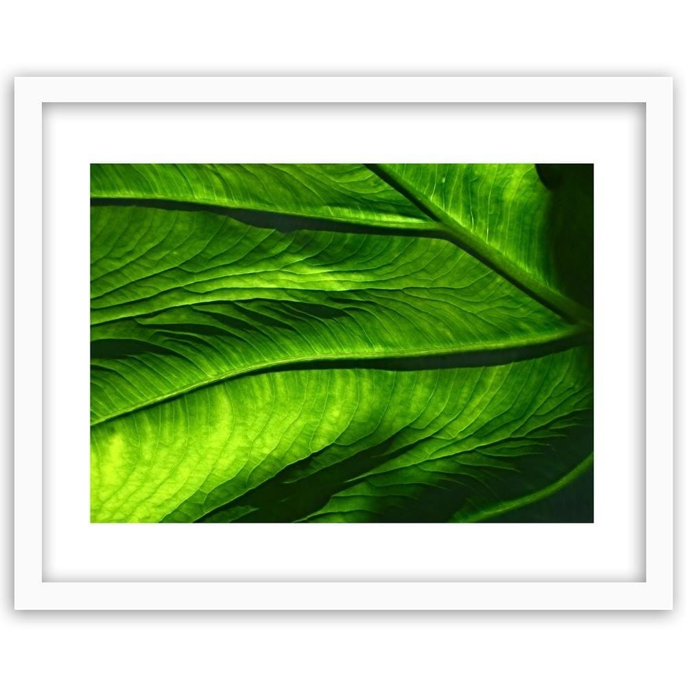 Glezna baltā rāmī - Leaf Structure  Home Trends DECO