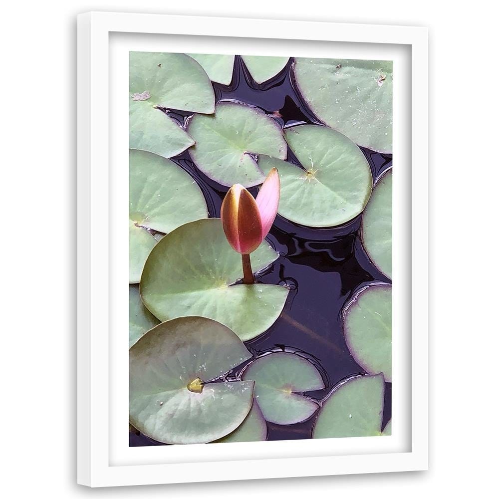 Glezna baltā rāmī - Leaves Of Water Lilies  Home Trends DECO