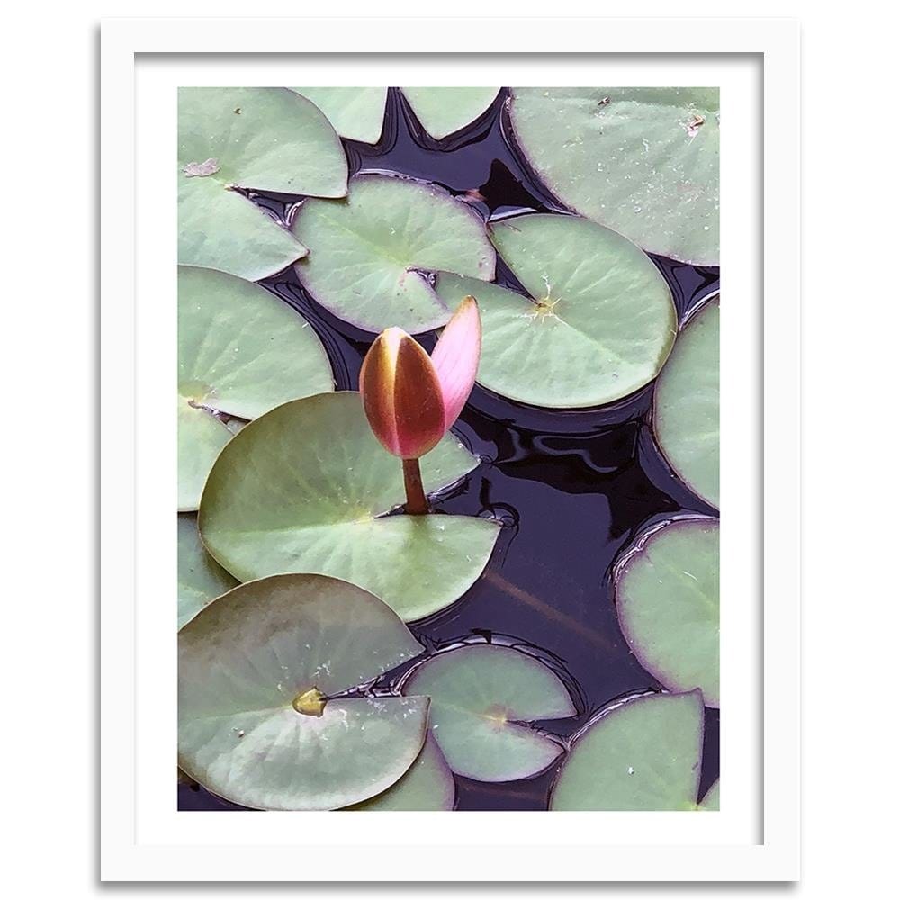 Glezna baltā rāmī - Leaves Of Water Lilies  Home Trends DECO