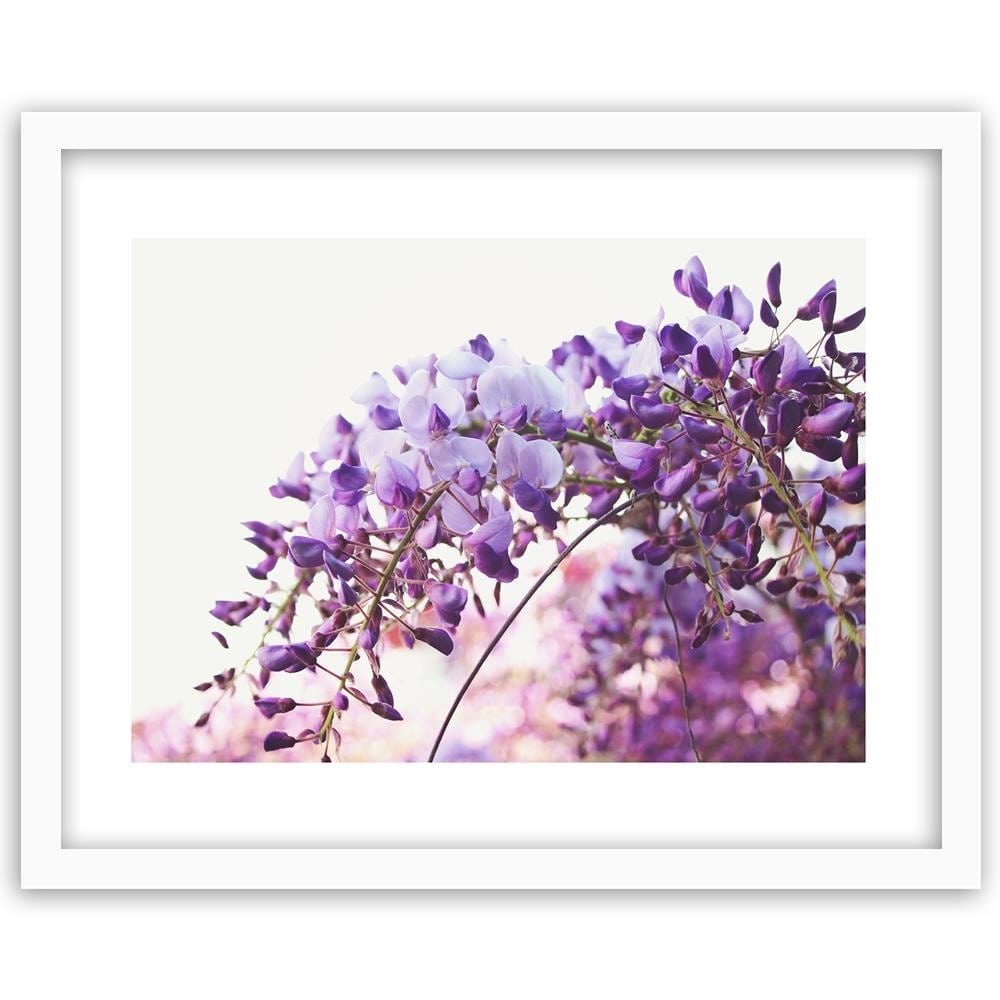 Glezna baltā rāmī - Lilac Wisteria Flowers  Home Trends DECO