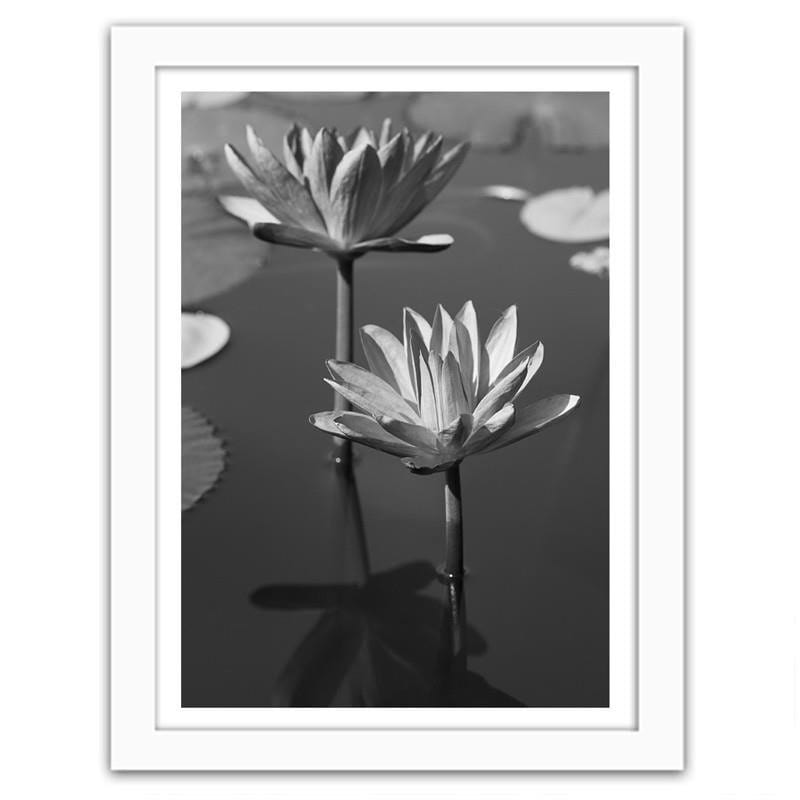 Glezna baltā rāmī - Lilies in the pond  Home Trends DECO
