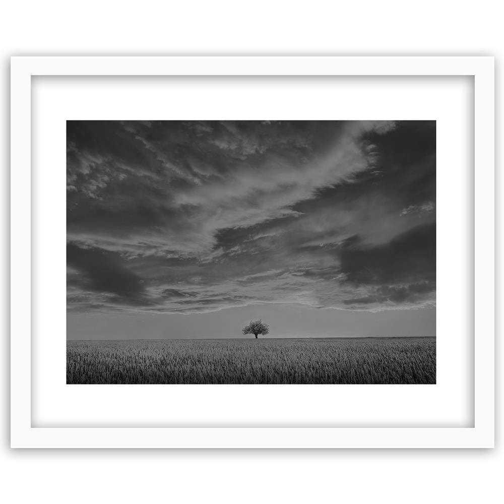 Glezna baltā rāmī - Lone Tree In Field 2  Home Trends DECO