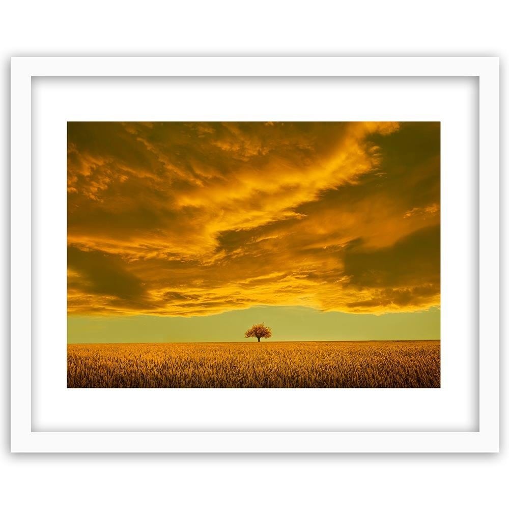 Glezna baltā rāmī - Lone Tree In Field 4  Home Trends DECO