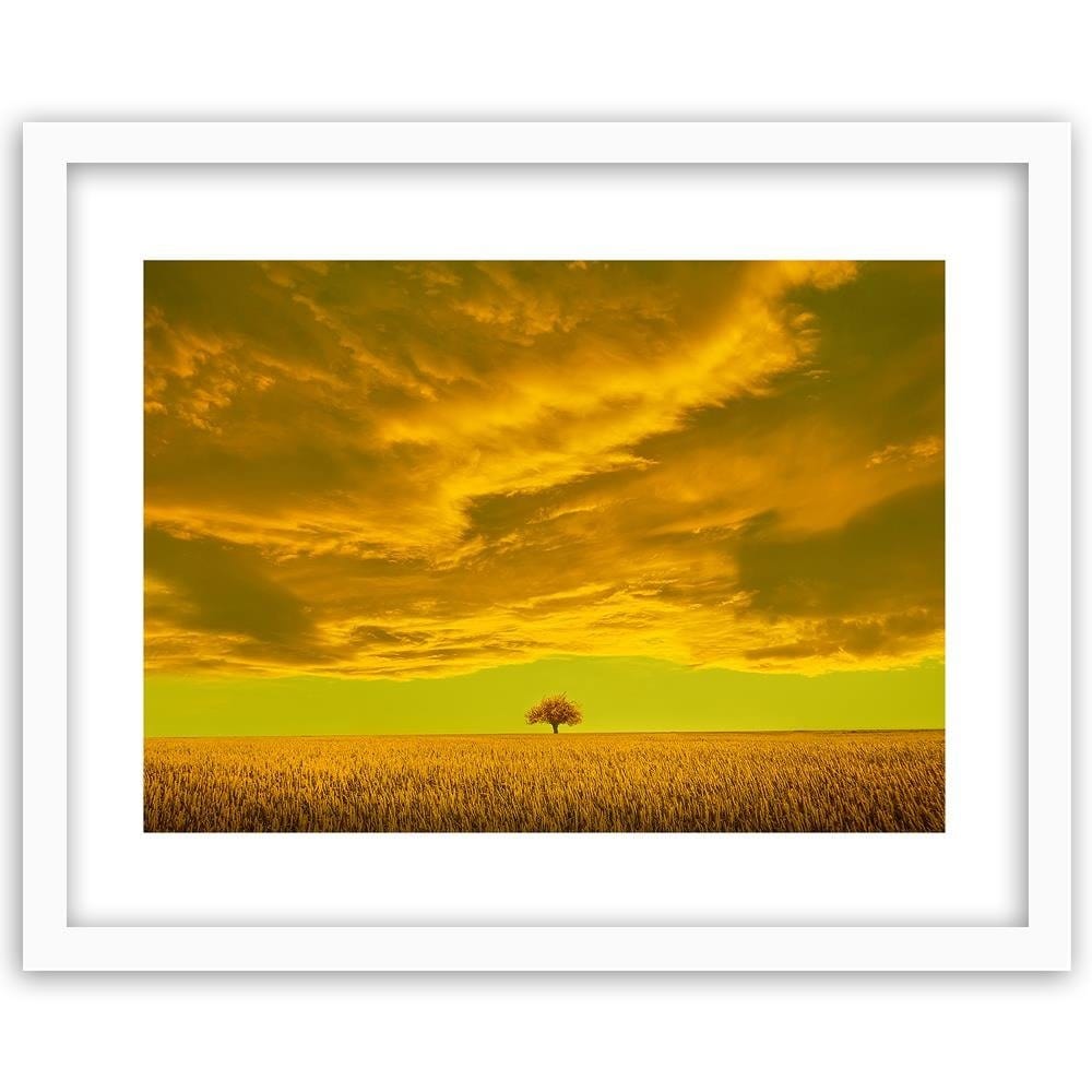 Glezna baltā rāmī - Lone Tree In Field  Home Trends DECO
