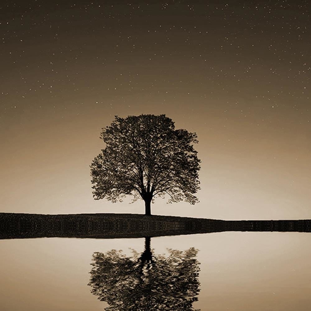 Glezna baltā rāmī - Lonely Tree 1  Home Trends DECO