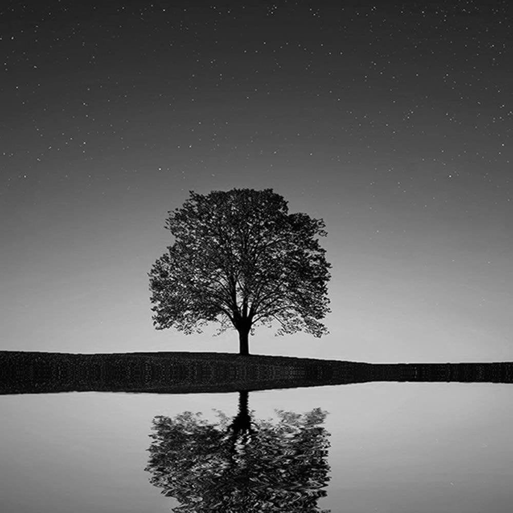 Glezna baltā rāmī - Lonely Tree 2  Home Trends DECO