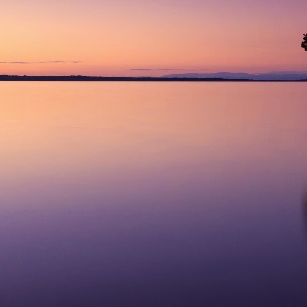 Glezna baltā rāmī - Lonely Tree On The Lake  Home Trends DECO