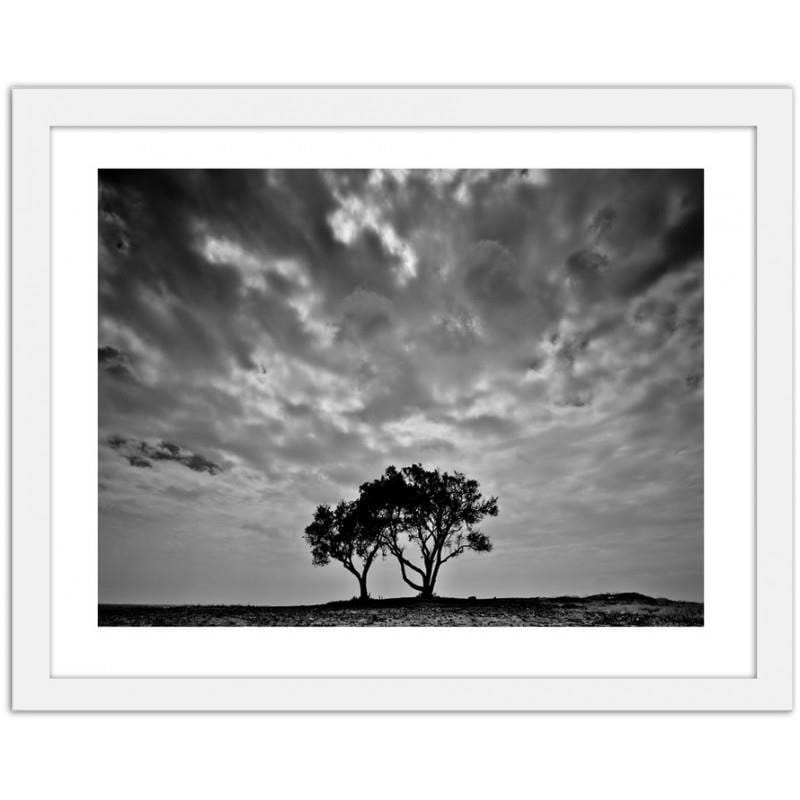 Glezna baltā rāmī - Lonely trees  Home Trends DECO