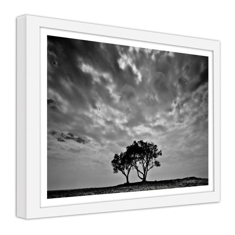 Glezna baltā rāmī - Lonely trees  Home Trends DECO