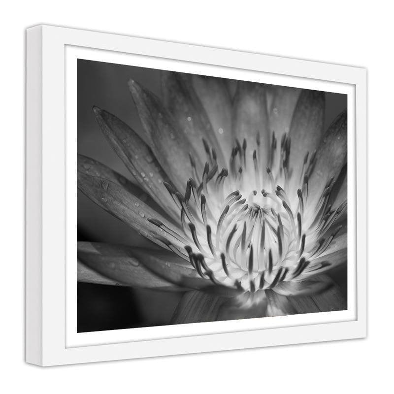 Glezna baltā rāmī - Lotus flower 2  Home Trends DECO