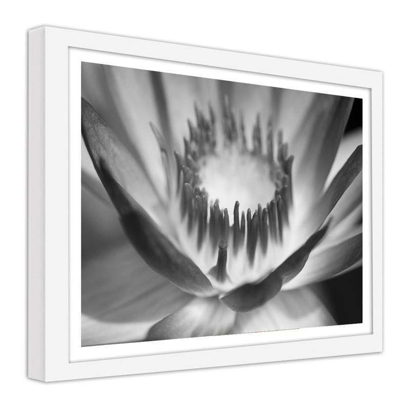 Glezna baltā rāmī - Lotus flower  Home Trends DECO