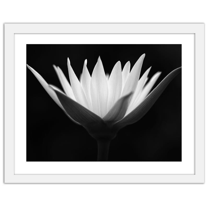 Glezna baltā rāmī - Lotus  Home Trends DECO