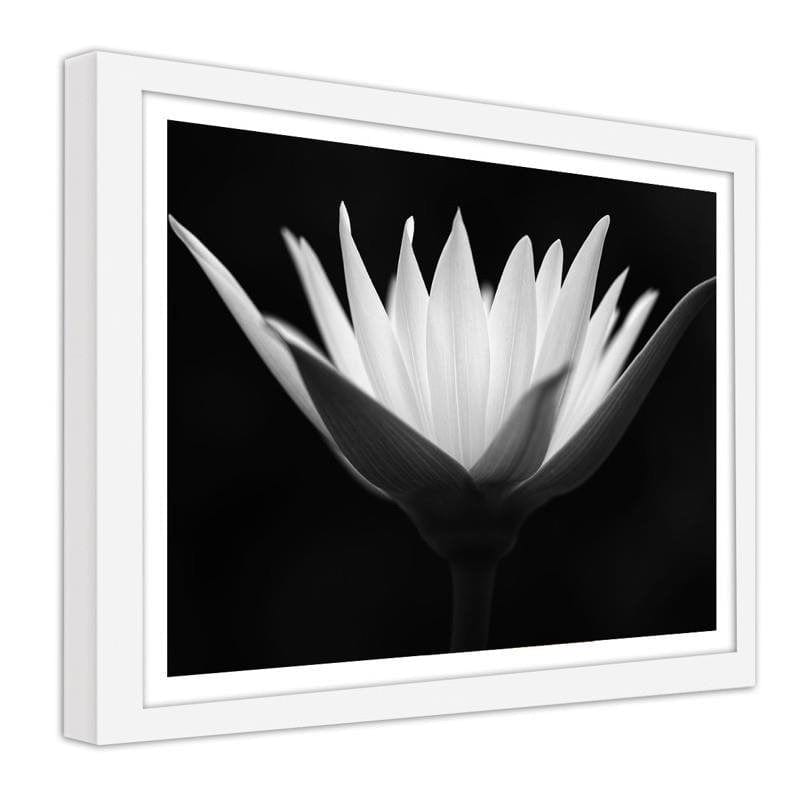 Glezna baltā rāmī - Lotus  Home Trends DECO