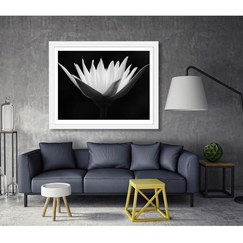 Glezna baltā rāmī - Lotus  Home Trends DECO