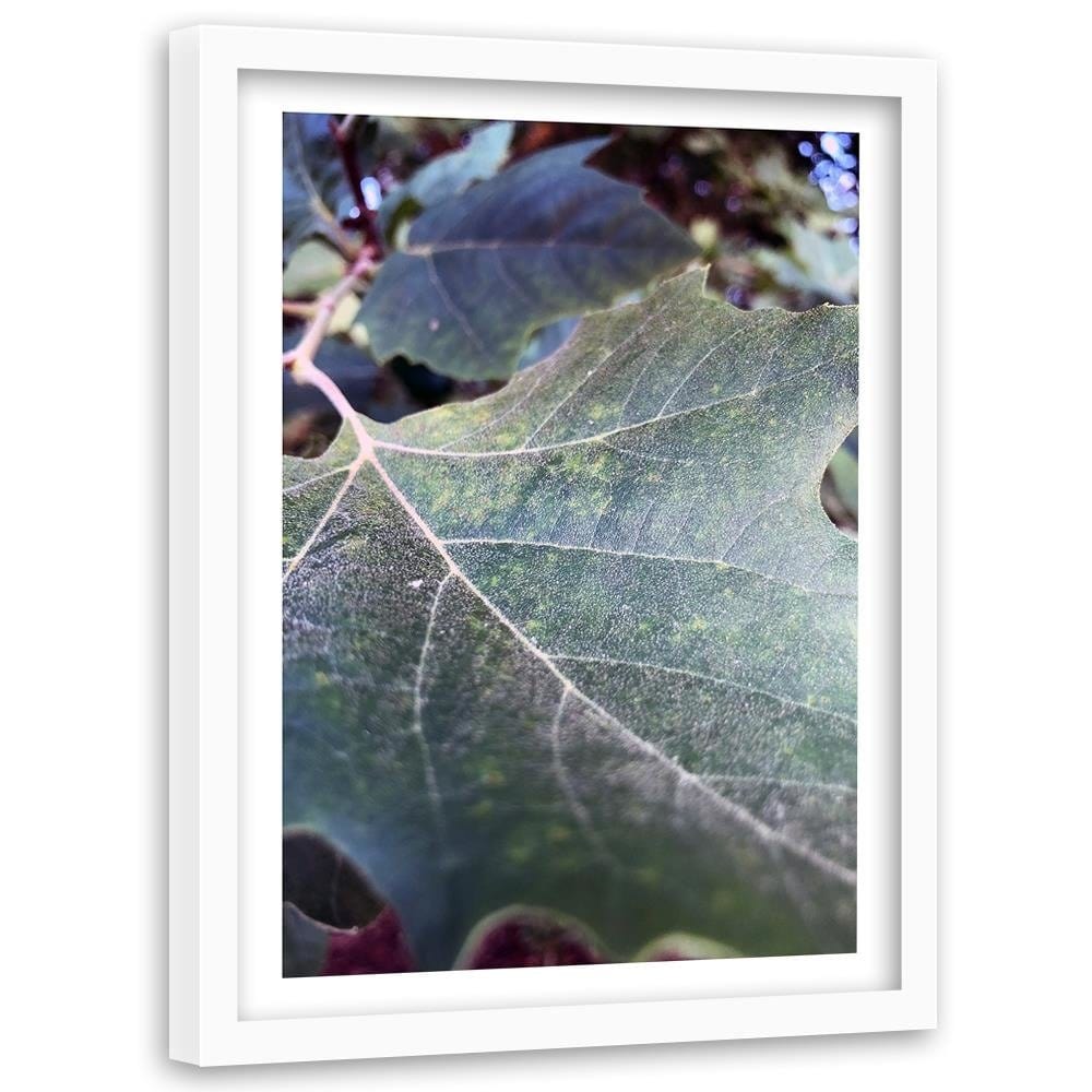 Glezna baltā rāmī - Maple Leaf 2  Home Trends DECO