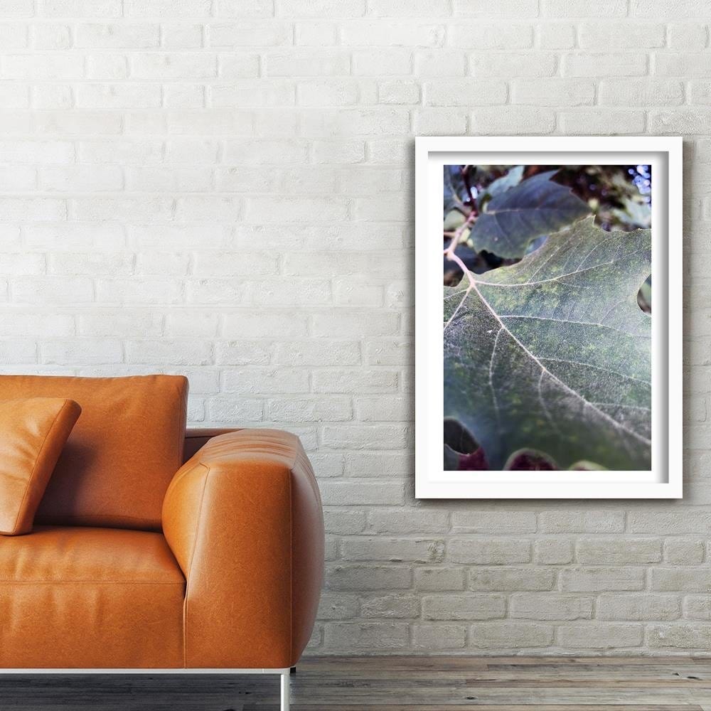 Glezna baltā rāmī - Maple Leaf 2  Home Trends DECO