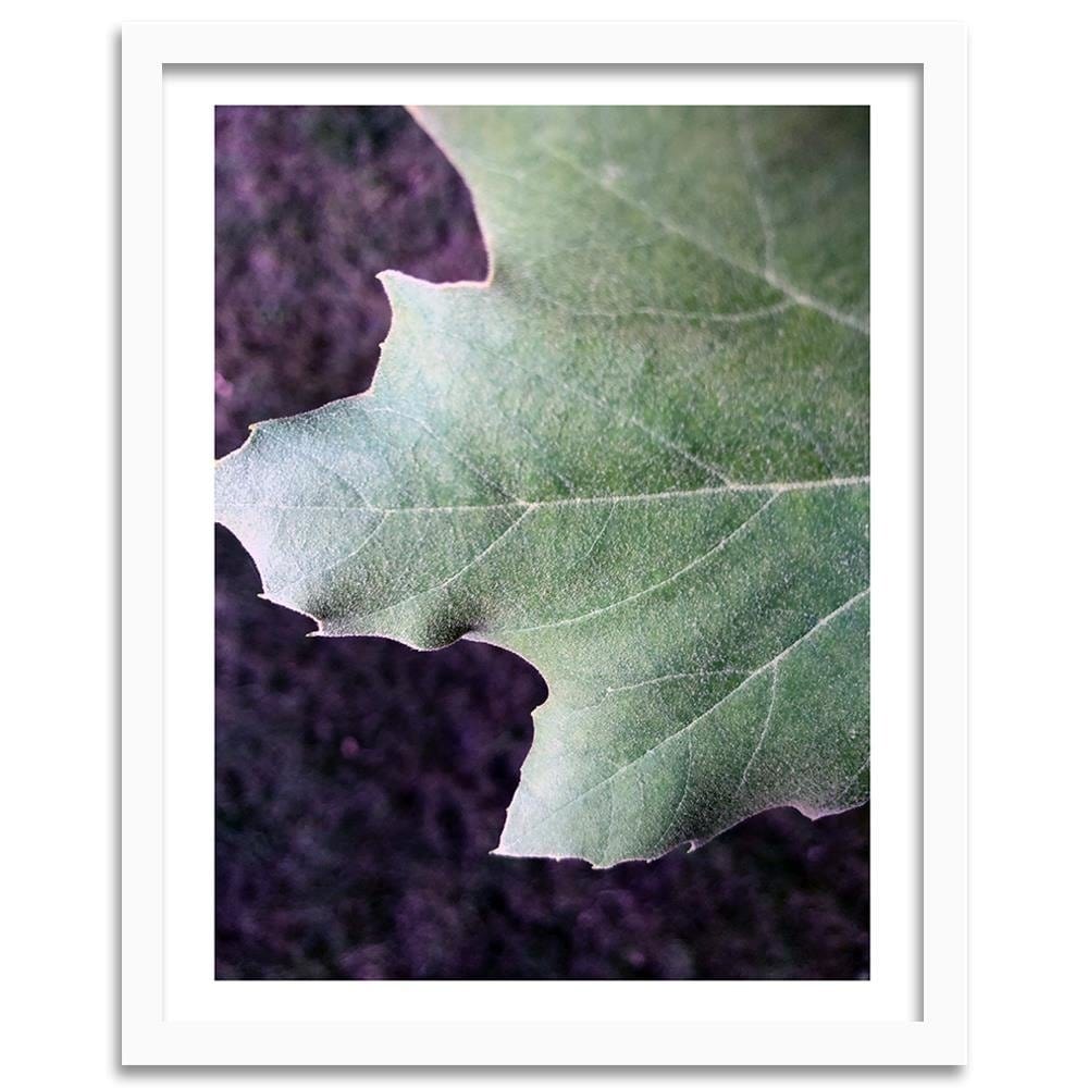 Glezna baltā rāmī - Maple Leaf  Home Trends DECO