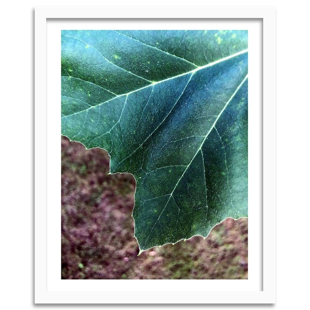 Glezna baltā rāmī - Maple Leaf  Home Trends DECO