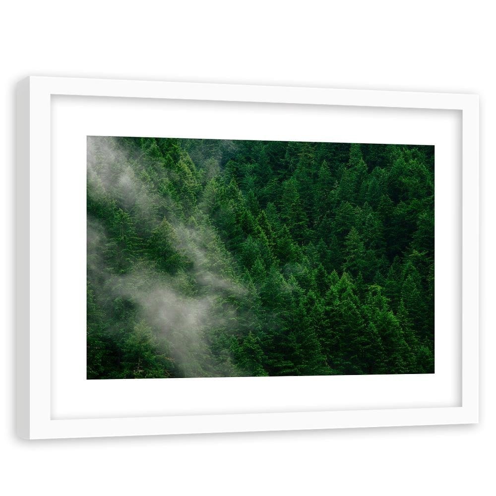 Glezna baltā rāmī - Mist Over The Forest  Home Trends DECO